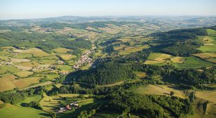PageLines-Beaujolaisvert.jpg PageLines-Beaujolaisvert.jpg